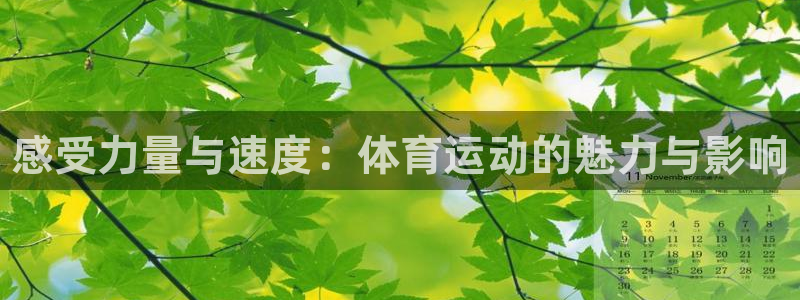 欧亿体育官方正版app集团：感受力量与速度：体育运动
