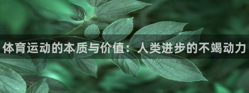 oety欧亿体育官网下载娱乐：体育运动的本质与价值：