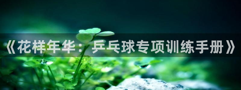oety欧亿体育官网下载招商：《花样年华：乒乓球专项