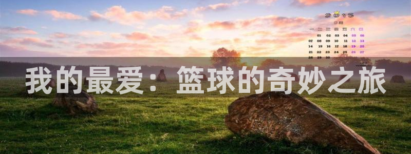 欧亿体育官方正版app娱乐是那个系列的台子：我的最爱：篮球的
