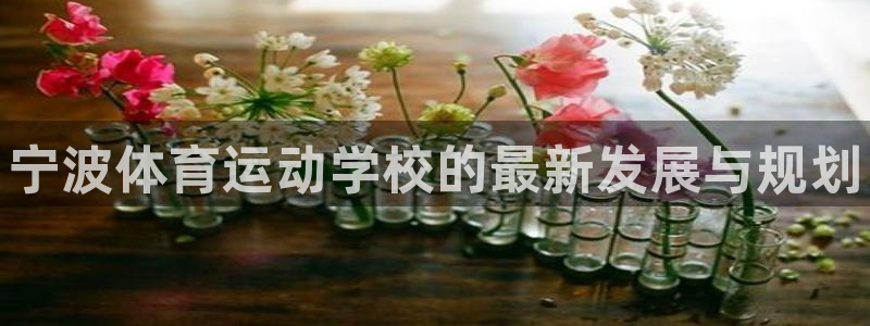 oety欧亿体育官网下载平台是正规平台吗安全吗