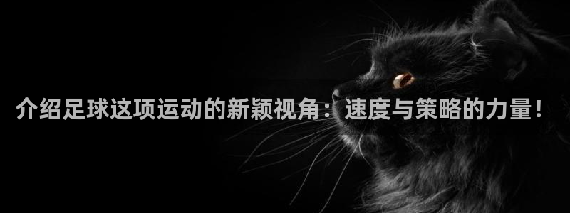 欧亿体育官方正版app娱乐网站：介绍足球这项运动的新颖视角：