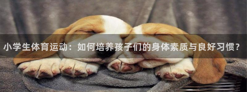 oety欧亿体育官网下载平台是正规平台吗知乎：小学生体育运动