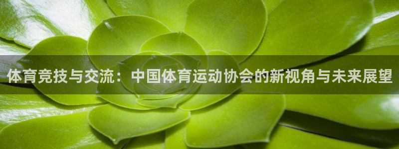 oe欧亿APP下载官网：体育竞技与交