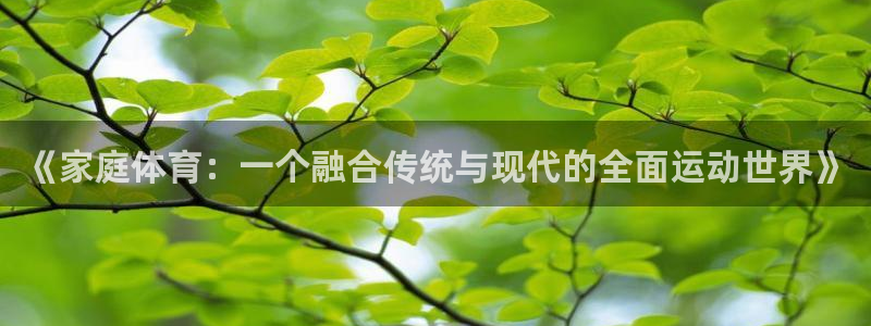 oe欧亿登录注册：《家庭体育：一个融