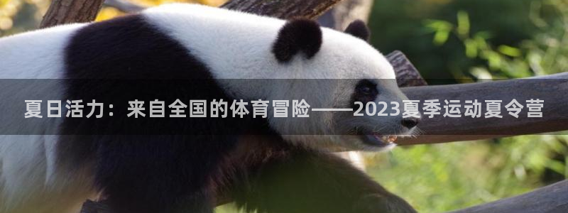 欧亿平台最新登录地址是什么：夏日活力