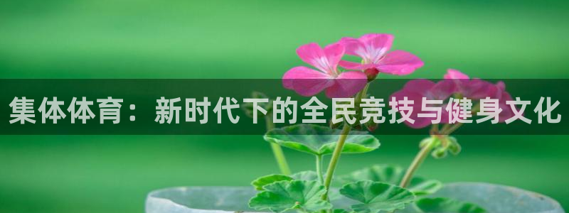 最新欧亿app官方下载：集体体育：新
