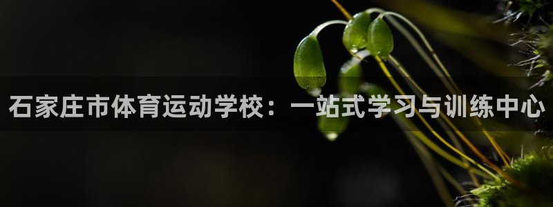 欧亿账号注册：石家庄市体育运动学校：