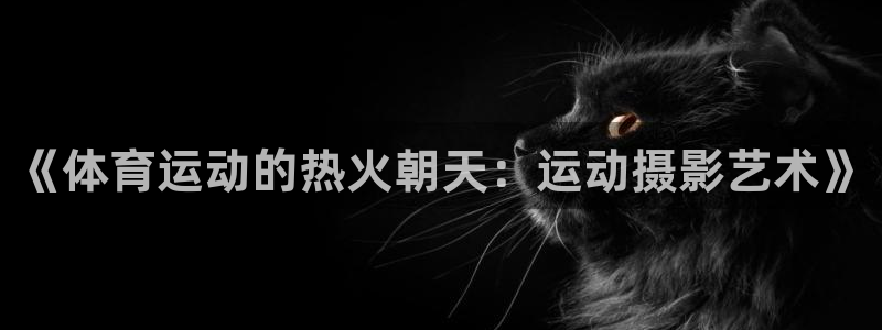 欧亿官网注册：《体育运动的热火朝天：