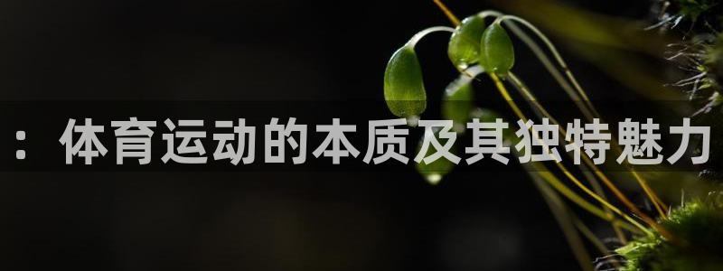 欧亿注册网址：：体育运动的本质及其独